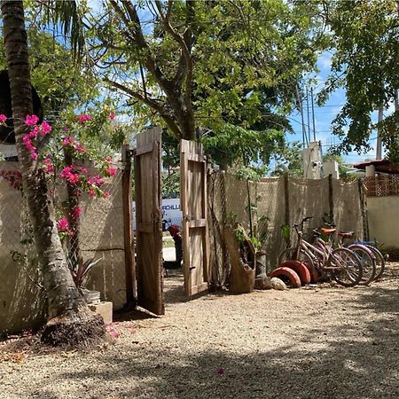 Hotel Selva Bacalar - Free Bike Rental Экстерьер фото