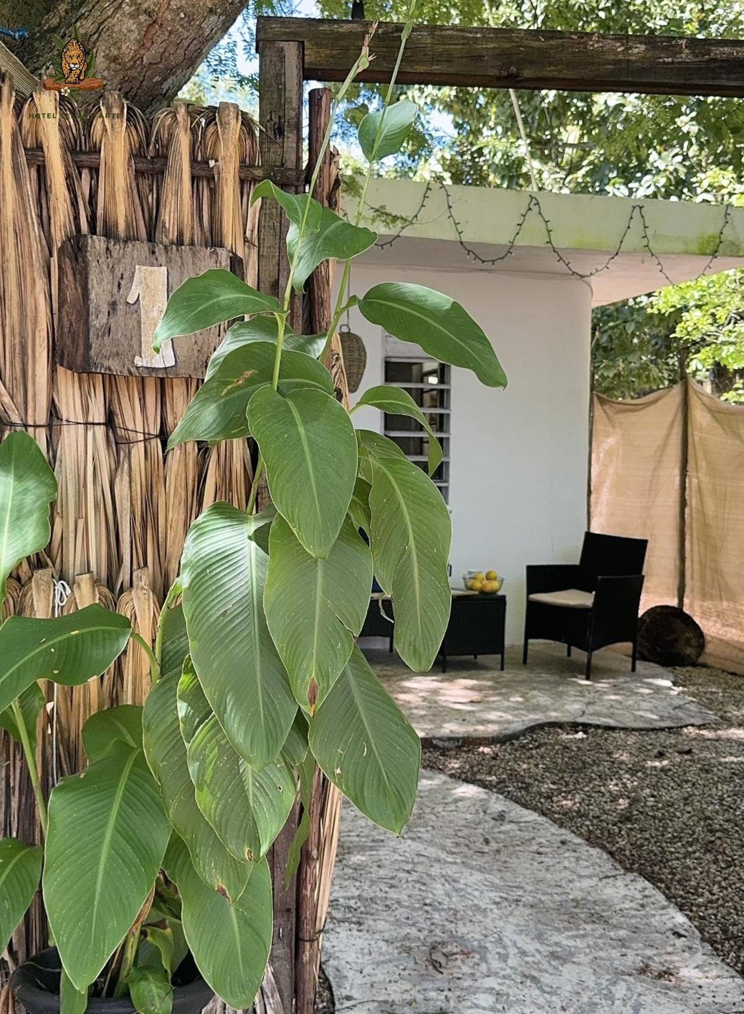 Hotel Selva Bacalar - Free Bike Rental Экстерьер фото